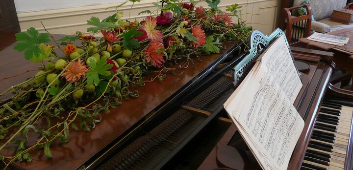 Jezeří v květech 2014